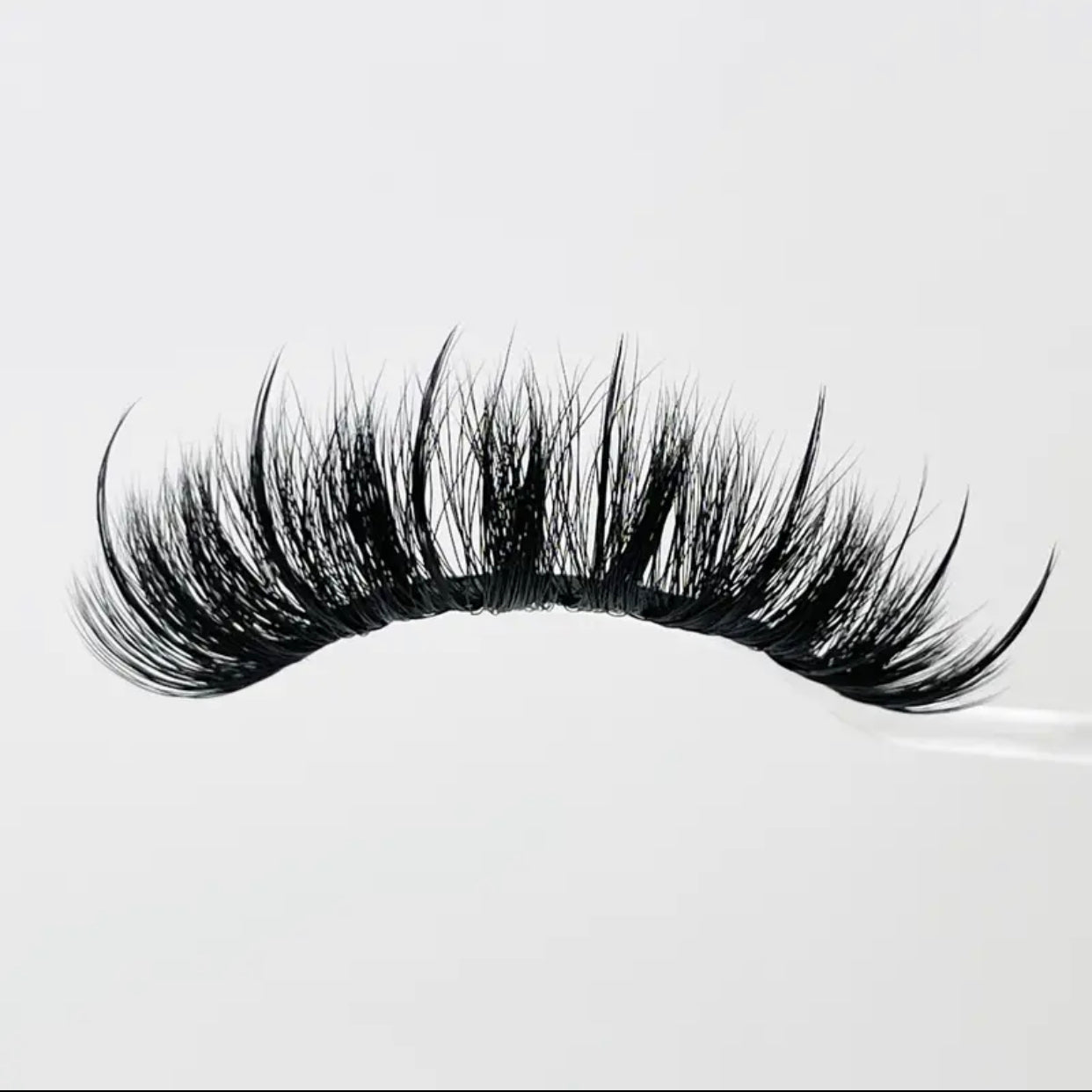 WET Lashes